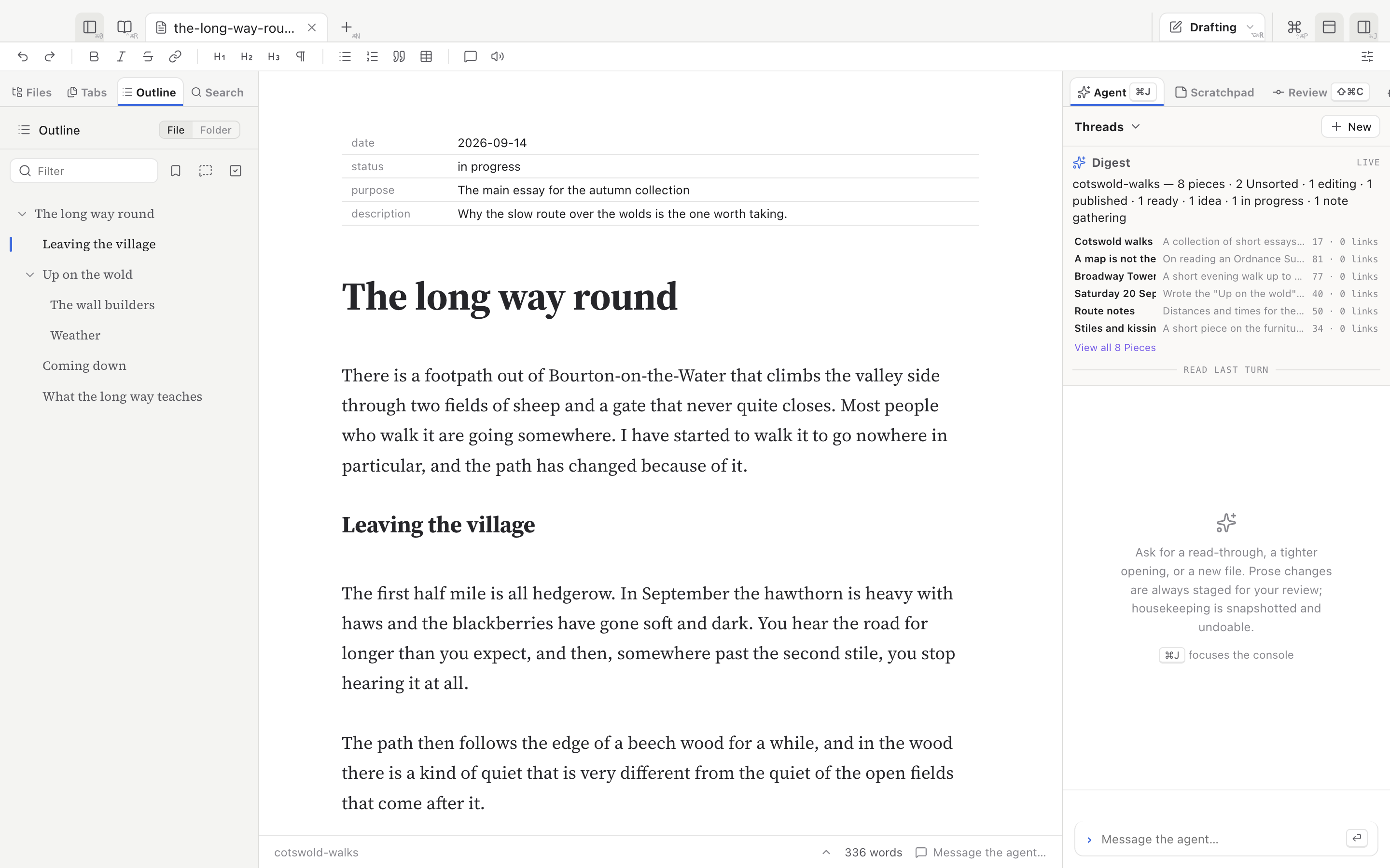 The Outline tab in the left pane, listing the essay's headings with nested subsections.